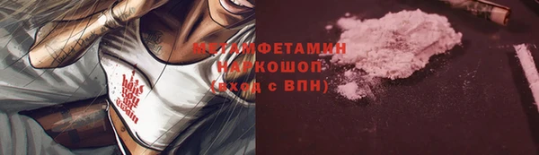 мет Алексин