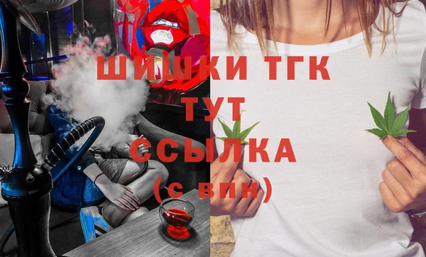 мет Алексин