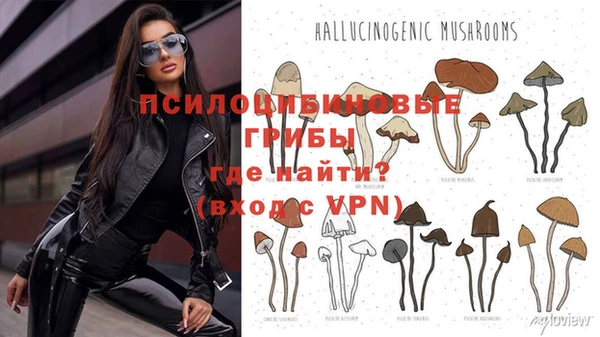 кокс Алексеевка