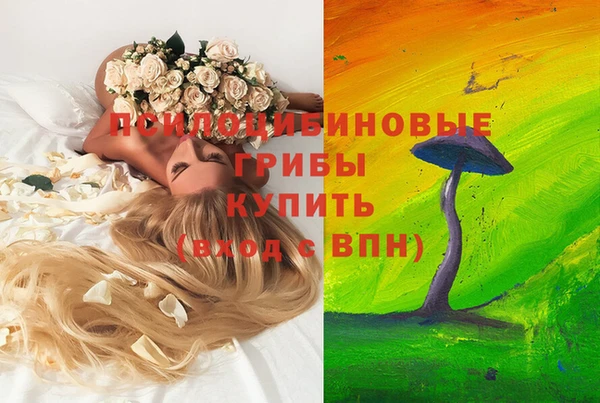 гашик Алзамай