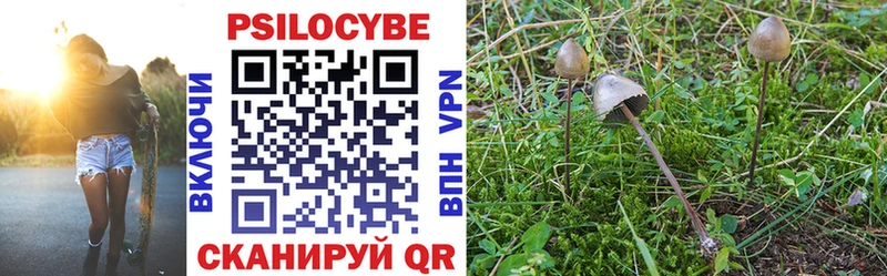 Псилоцибиновые грибы Psilocybe Аркадак
